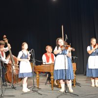 Folklorní slavnosti